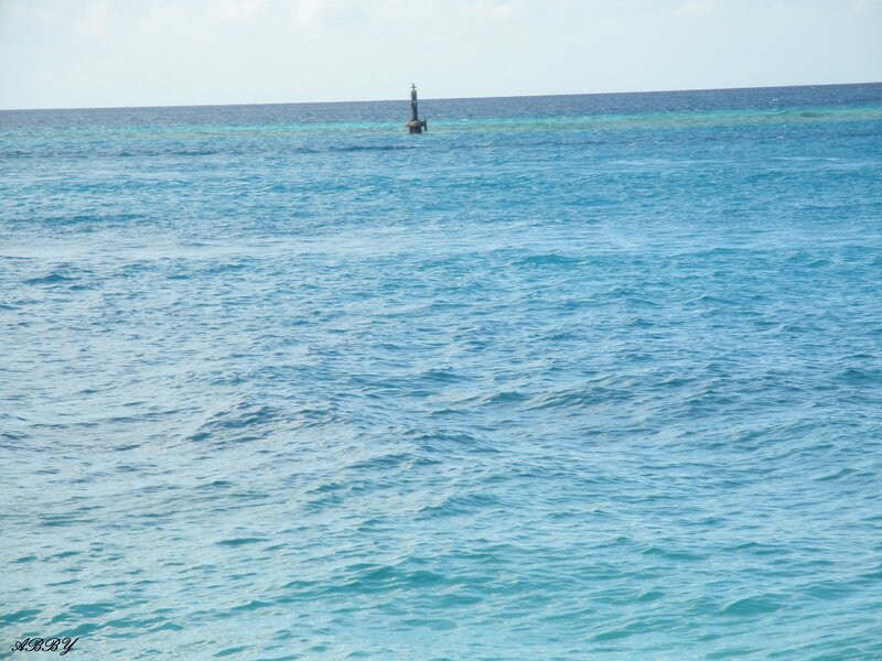 Buoy in Ocean