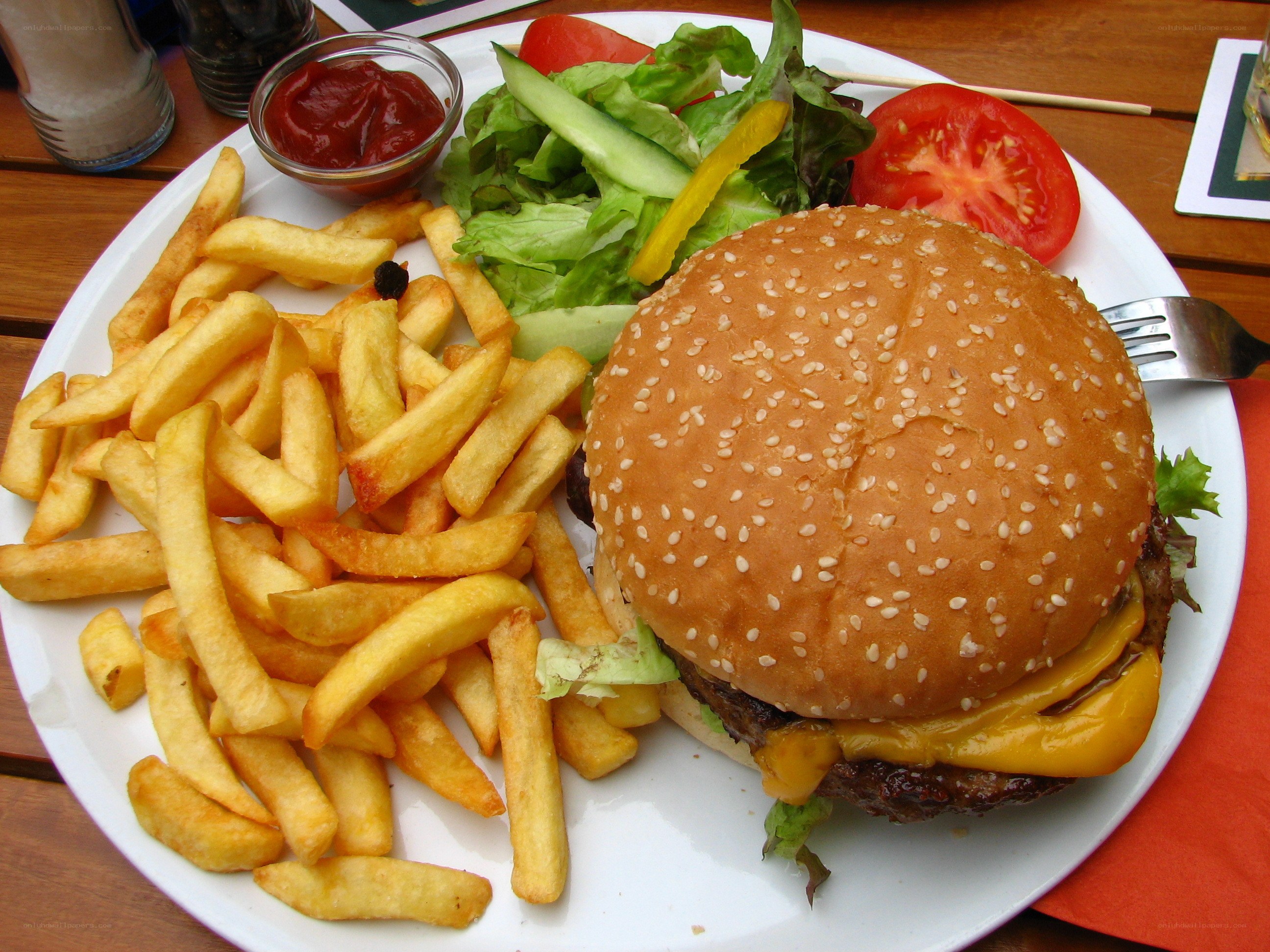 Burger with fries and salad