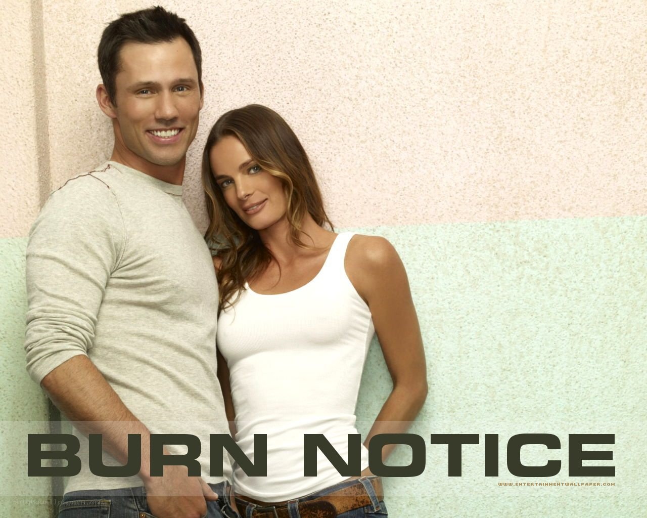 Burn Notice promotional image