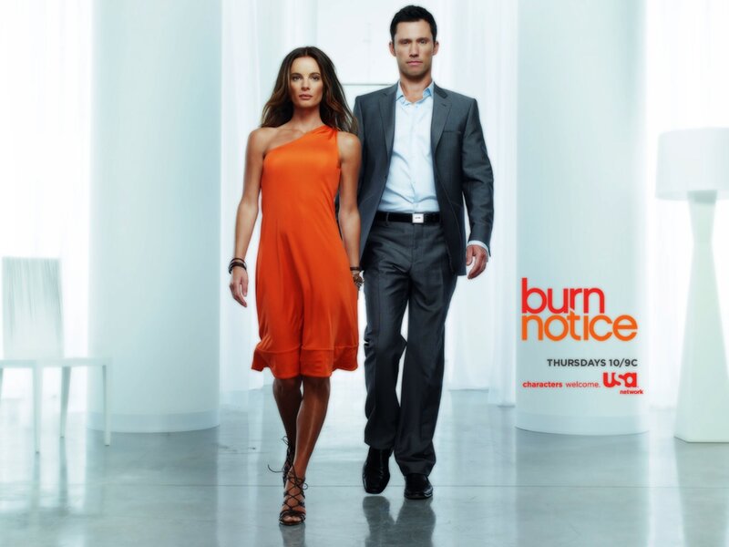 Burn Notice promotional poster