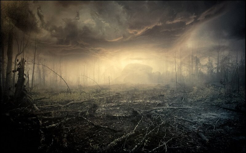 Burned Forest Landscape — Brown