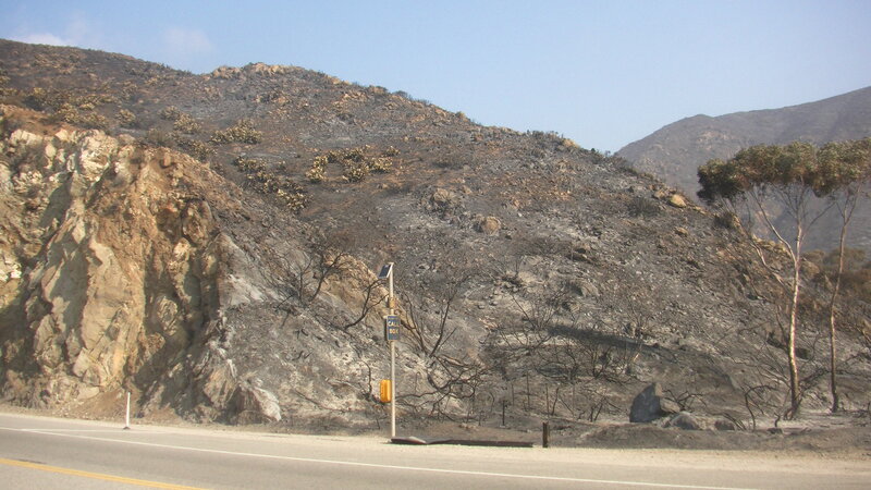 Burned Hillside