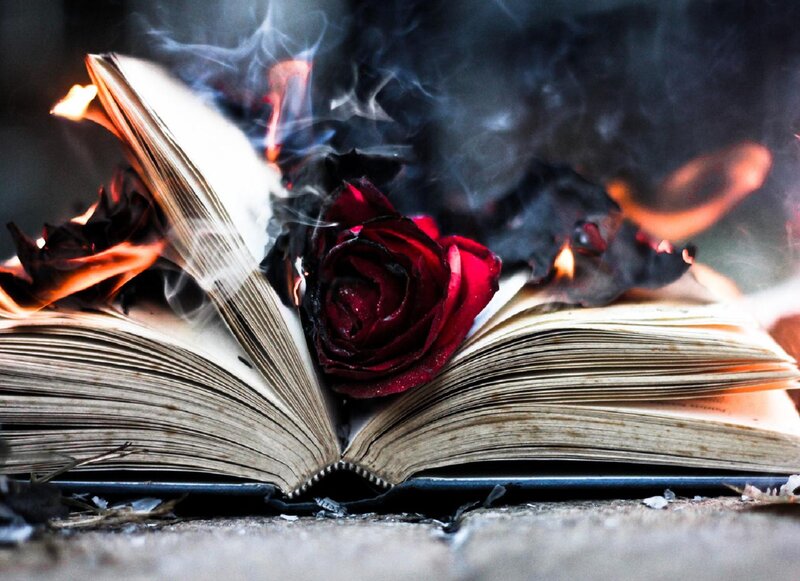 Burning Book with Rose — Red