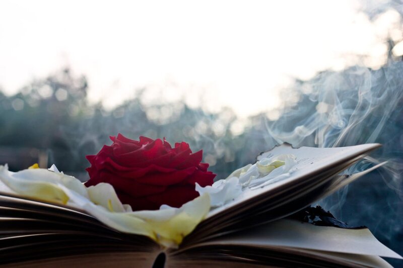 Burning Book with Rose