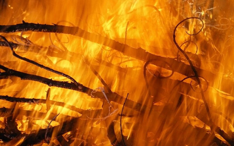 Burning Branches in Fire