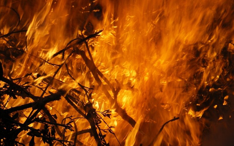 Burning Branches