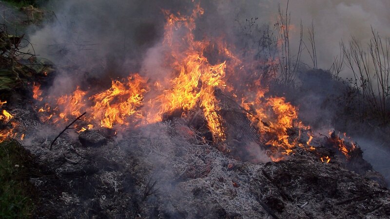 Burning brush pile