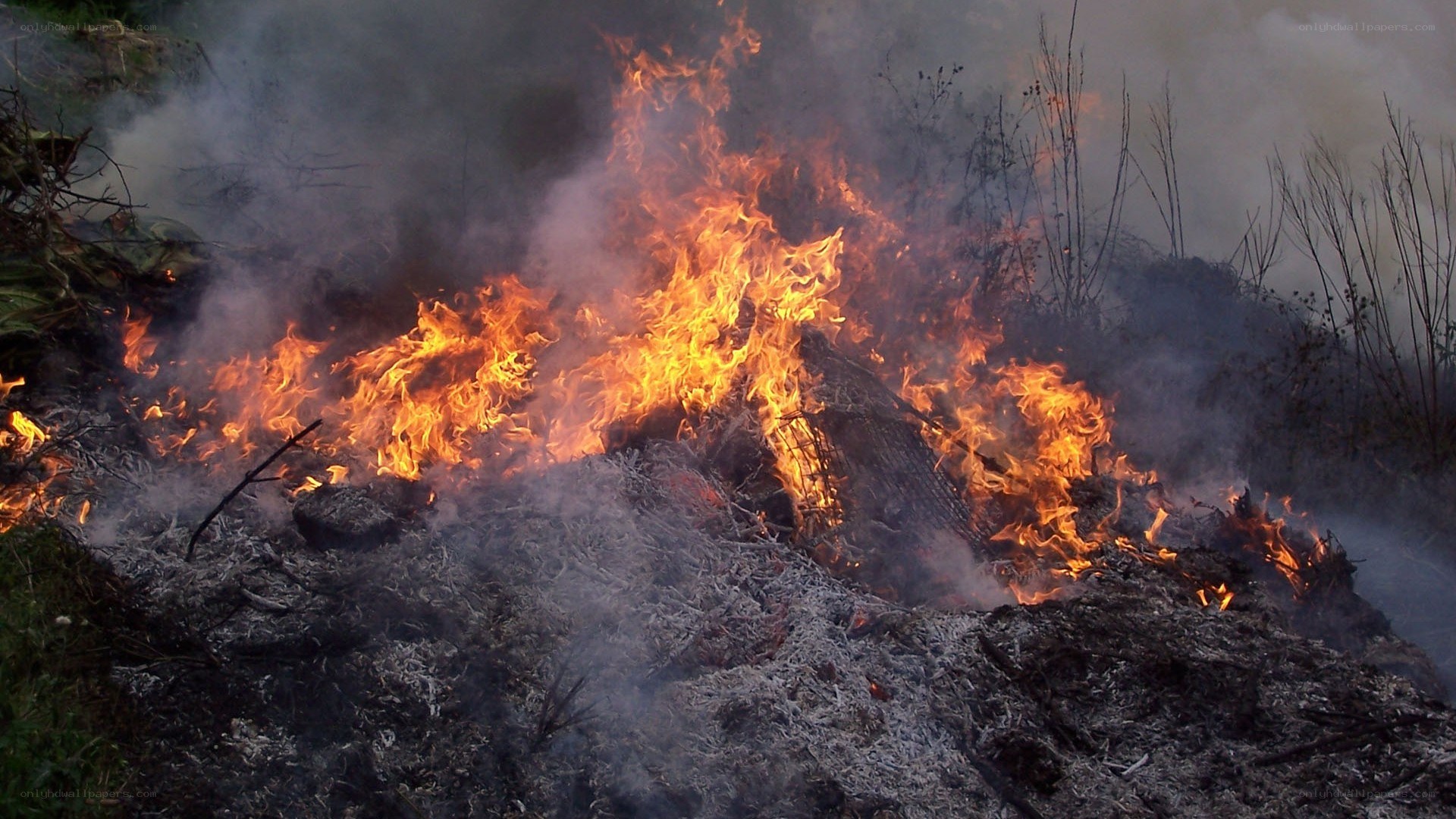 Burning brush pile