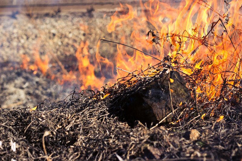Burning Brush Pile — Orange