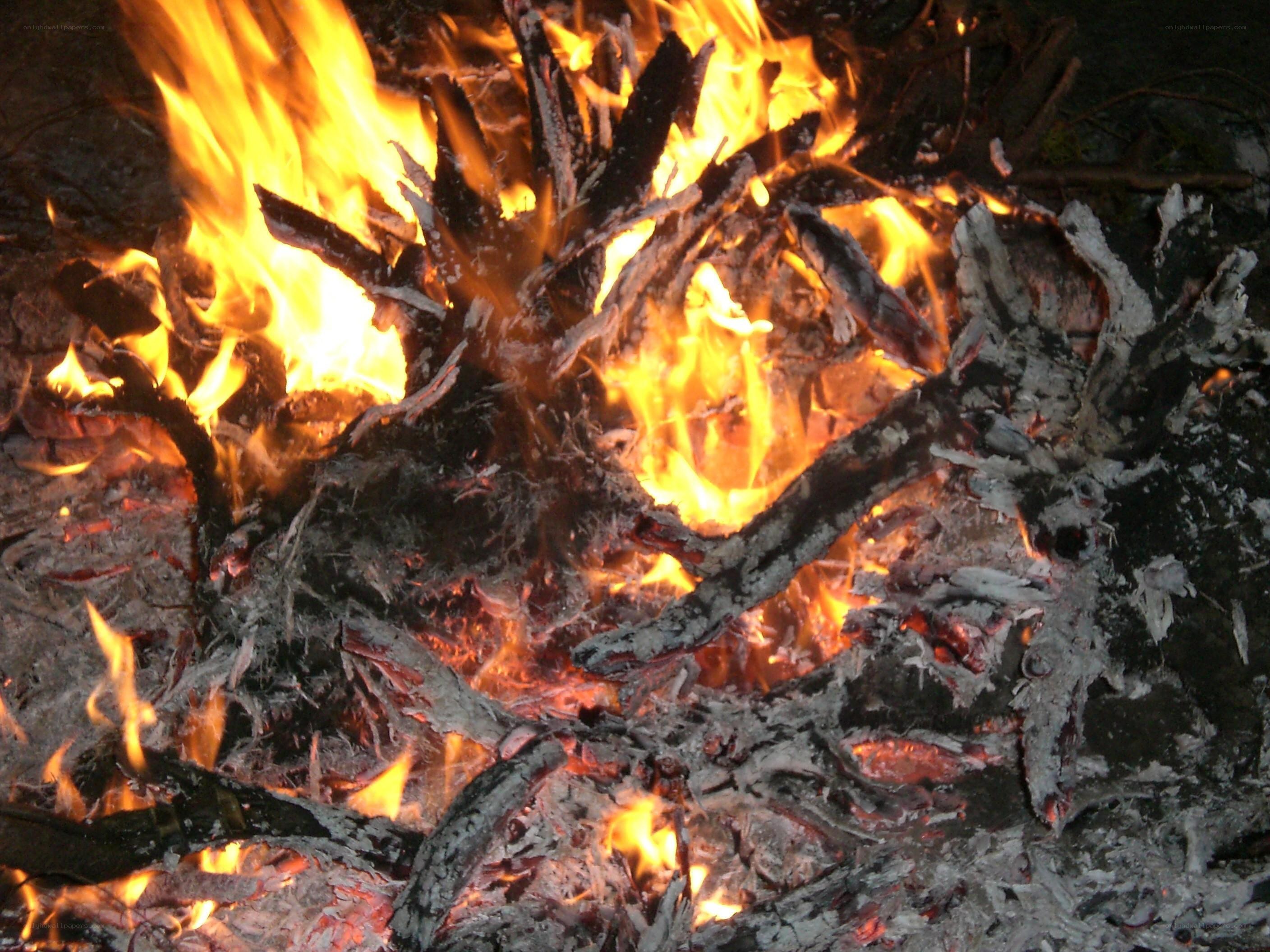 Burning campfire at night