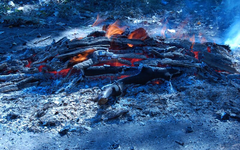 burning campfire embers