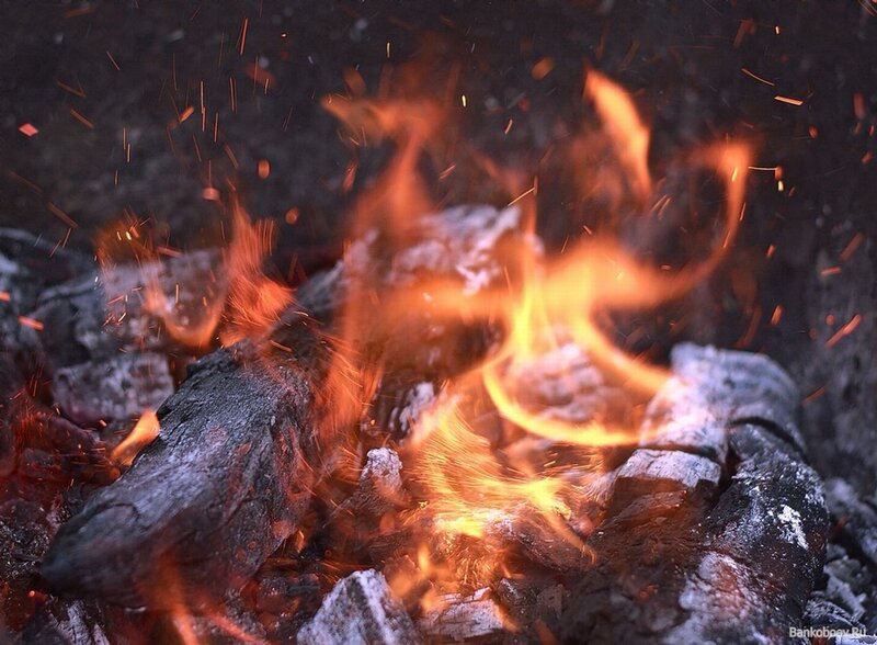 Burning campfire embers