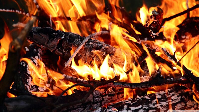 Burning Campfire
