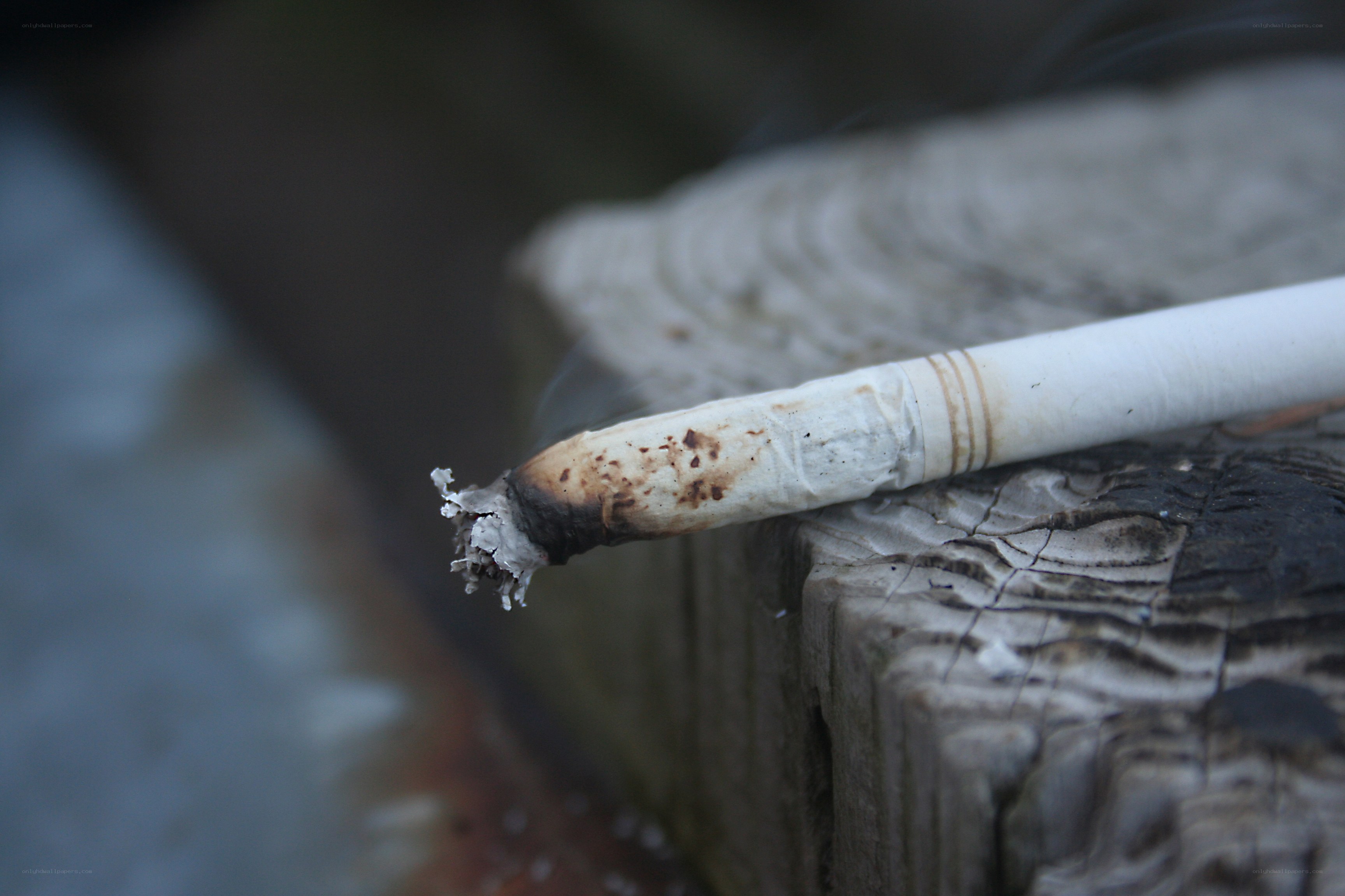 burning cigarette on wood