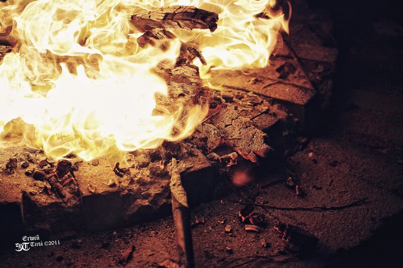 Burning Fire in Hearth