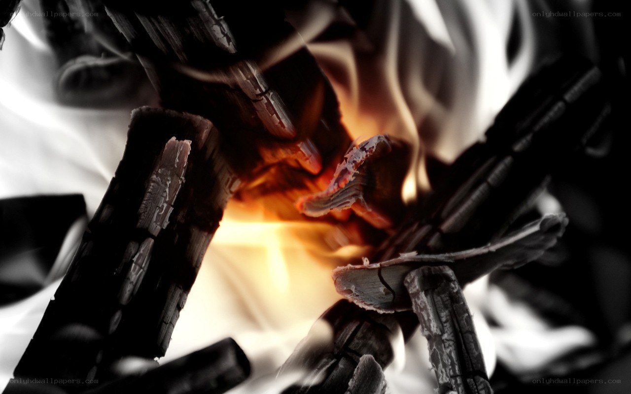 burning firewood close-up
