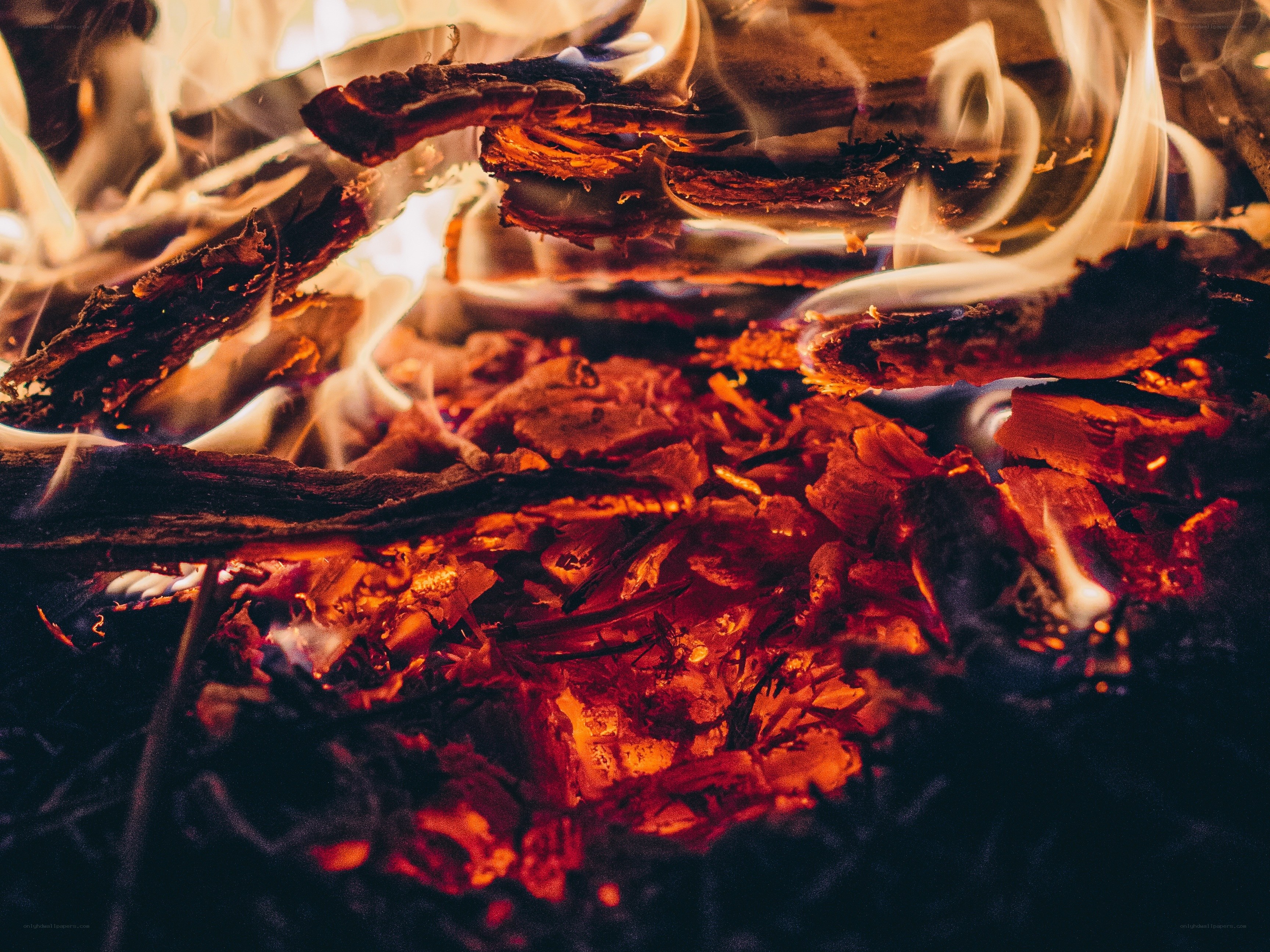 burning firewood embers