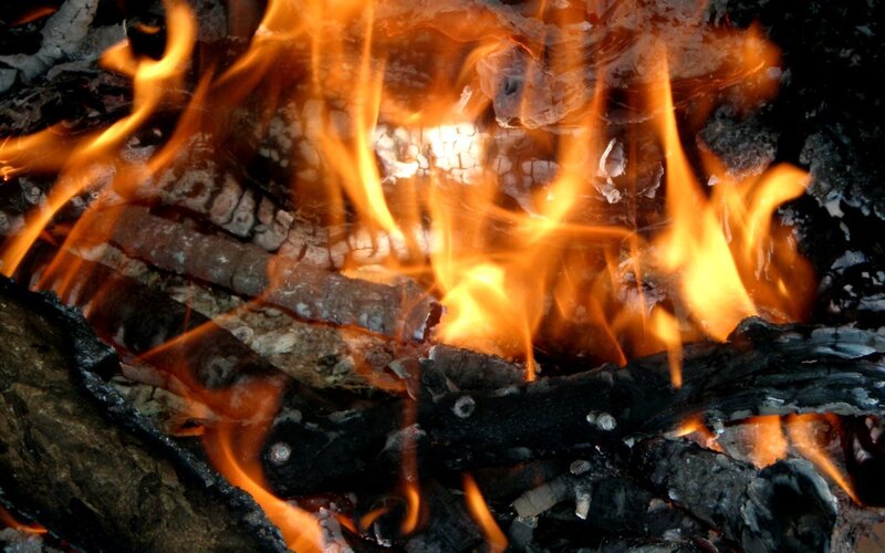burning firewood in a campfire