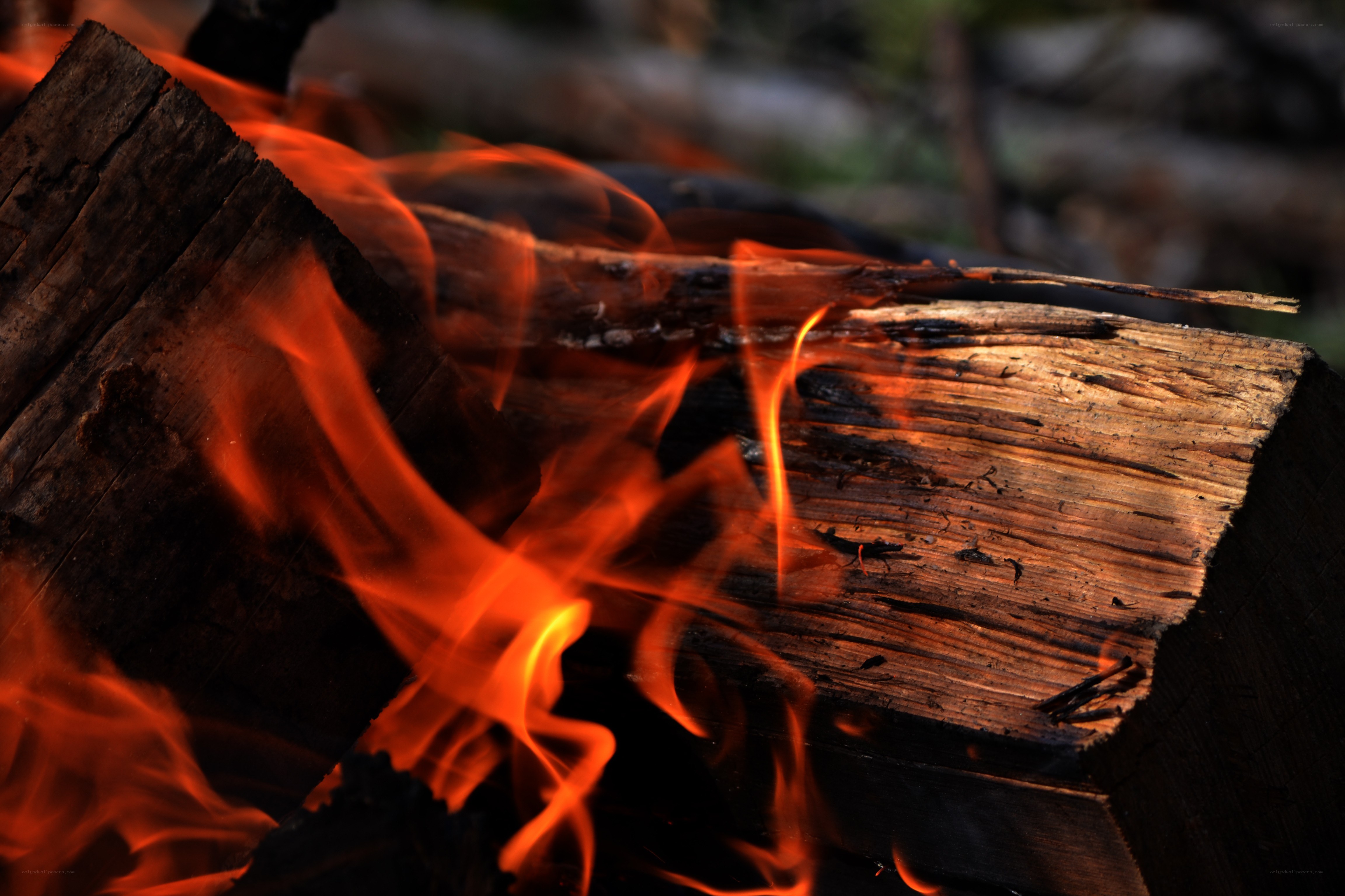 Burning firewood in a campfire