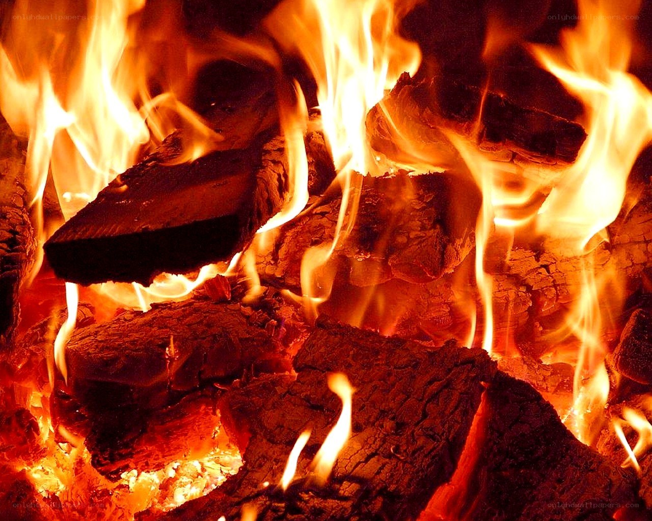 burning firewood in a fireplace