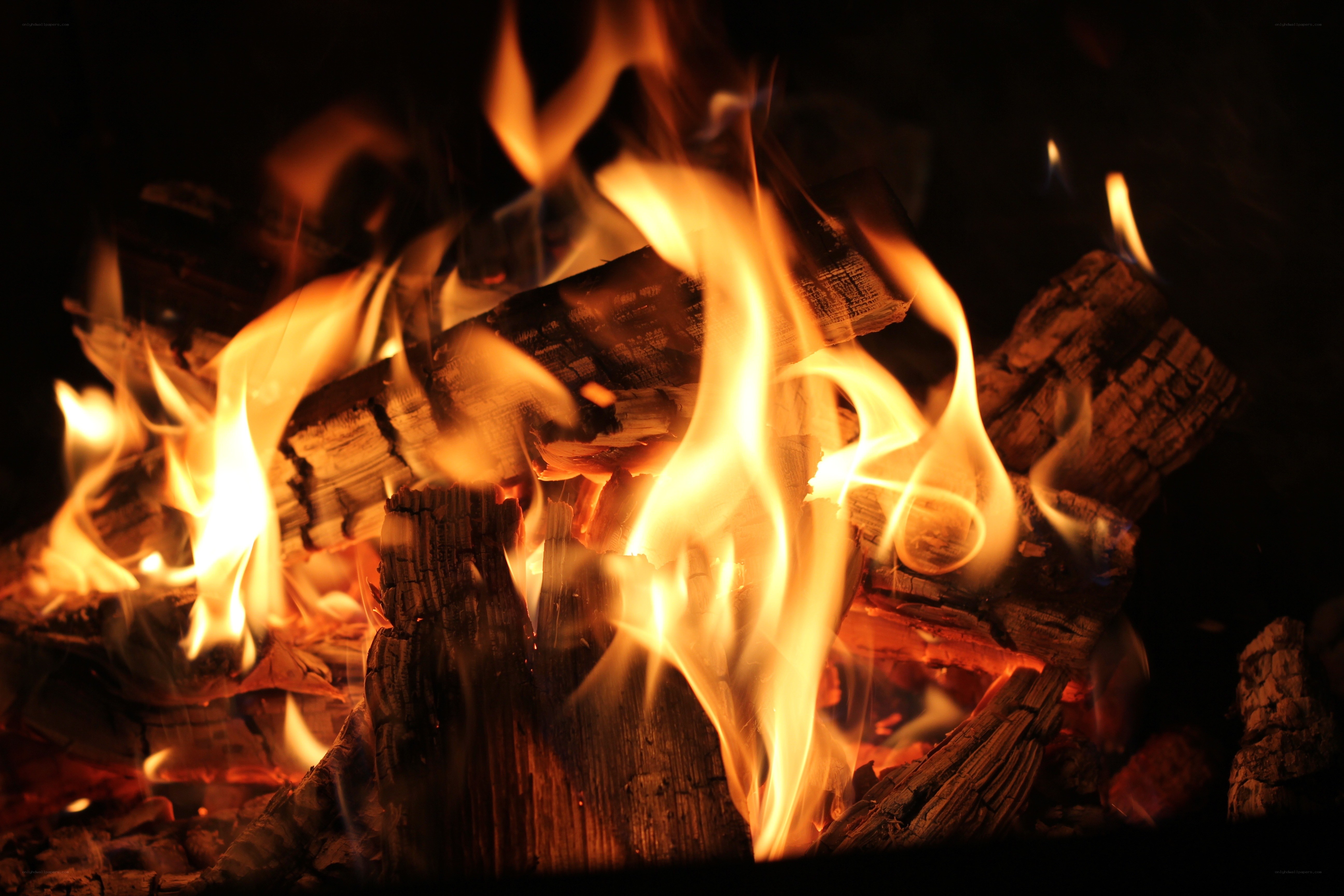 burning firewood in a fireplace