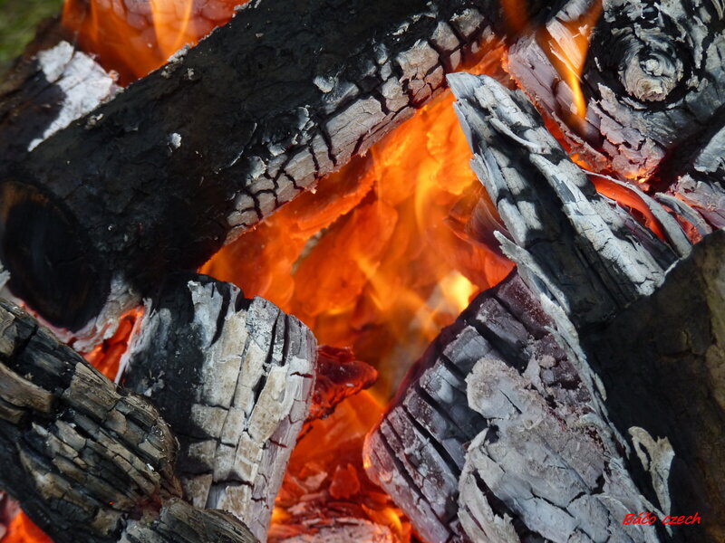Burning Firewood — Orange
