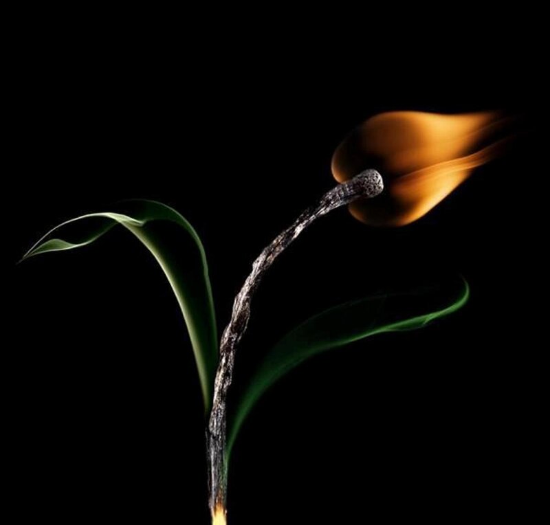 Burning Flower