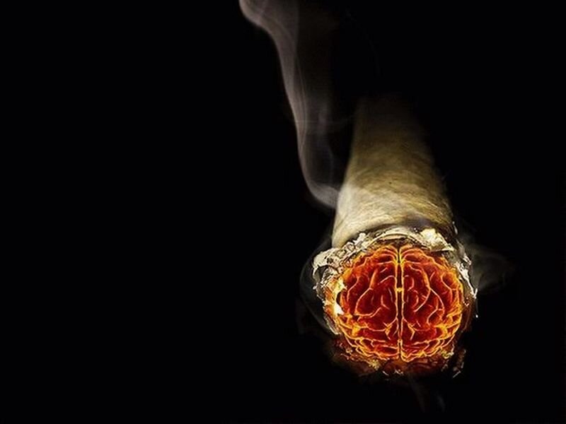 Burning Joint with Brain