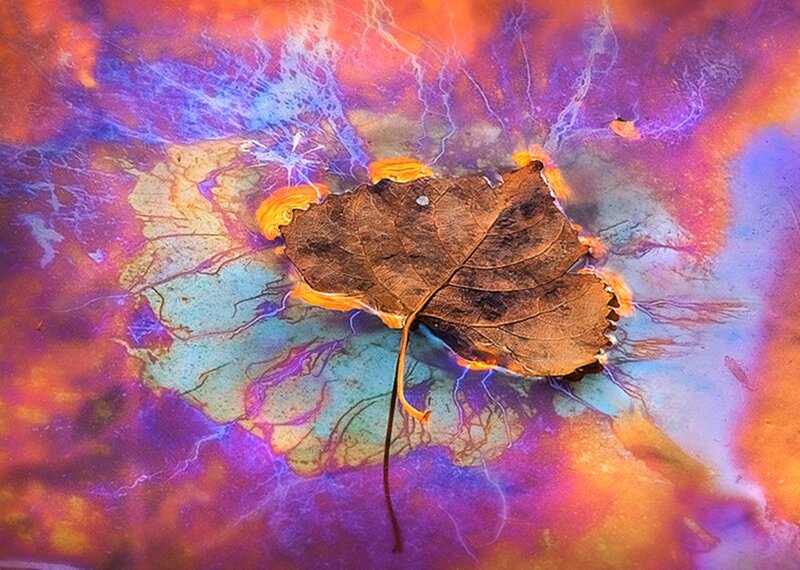 Burning Leaf on Colorful Surface