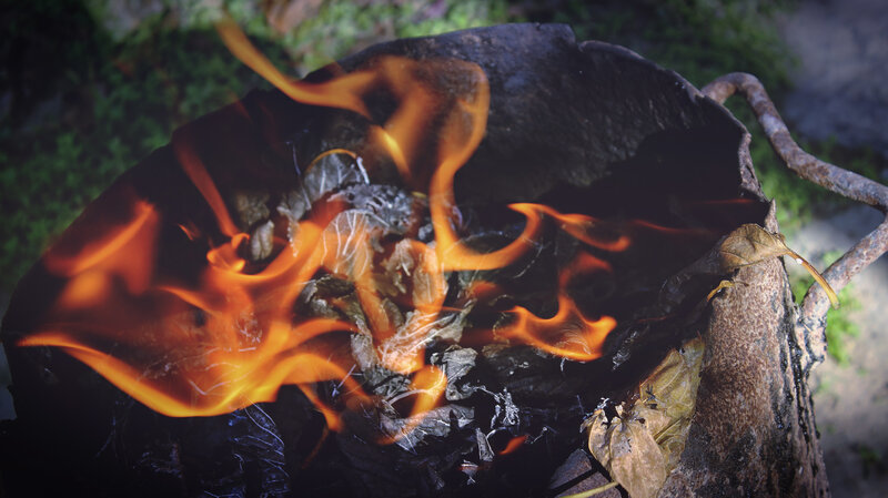 burning leaves in a fire pit
