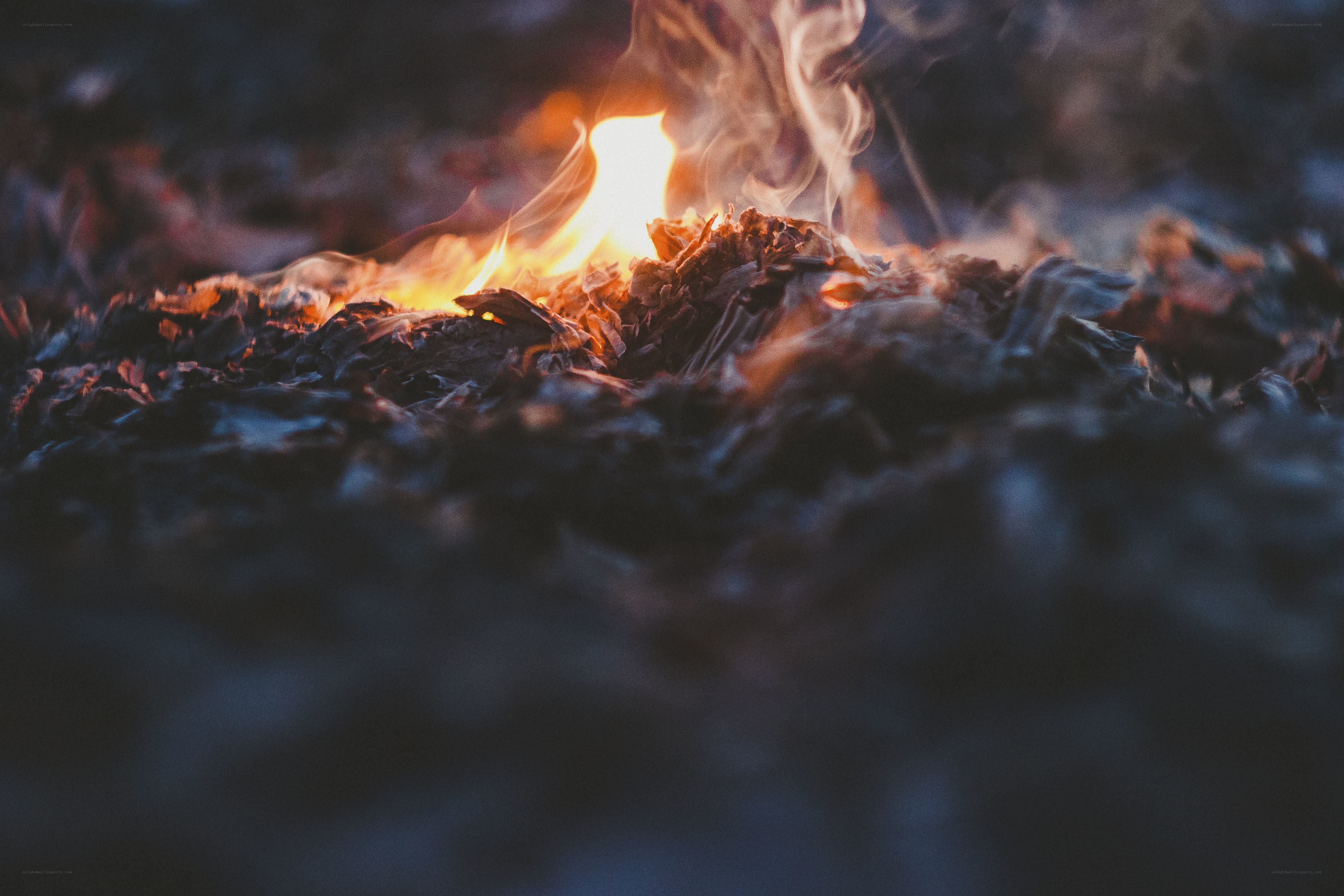 burning leaves in the dark