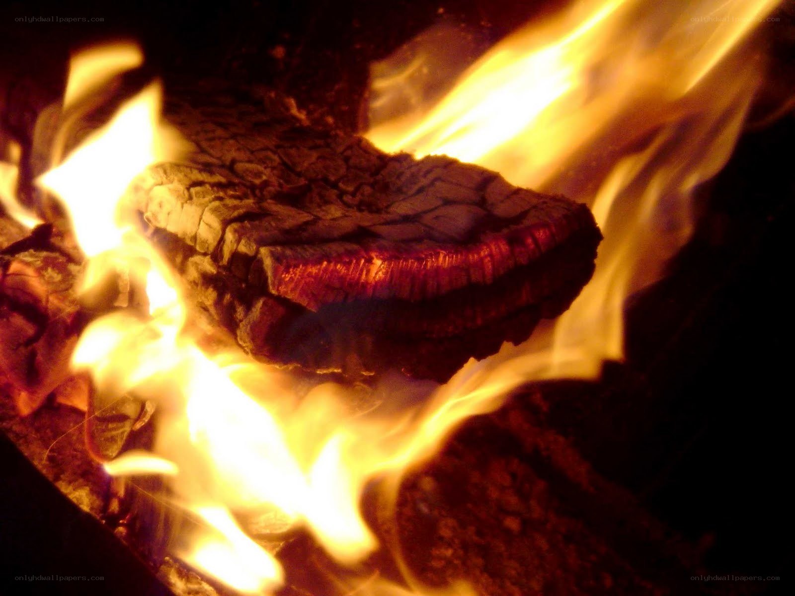 burning log in a fire