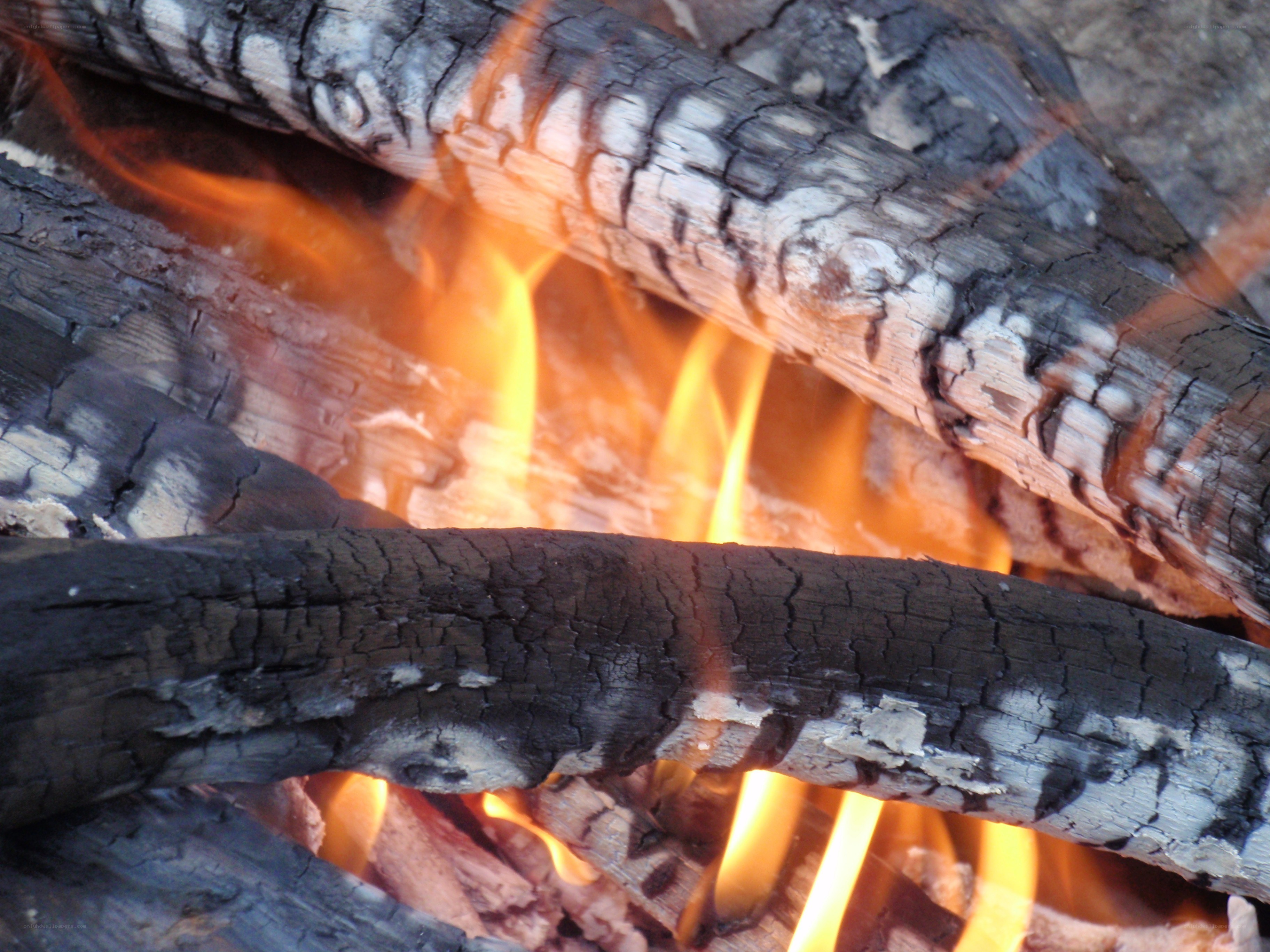 burning logs in a fire