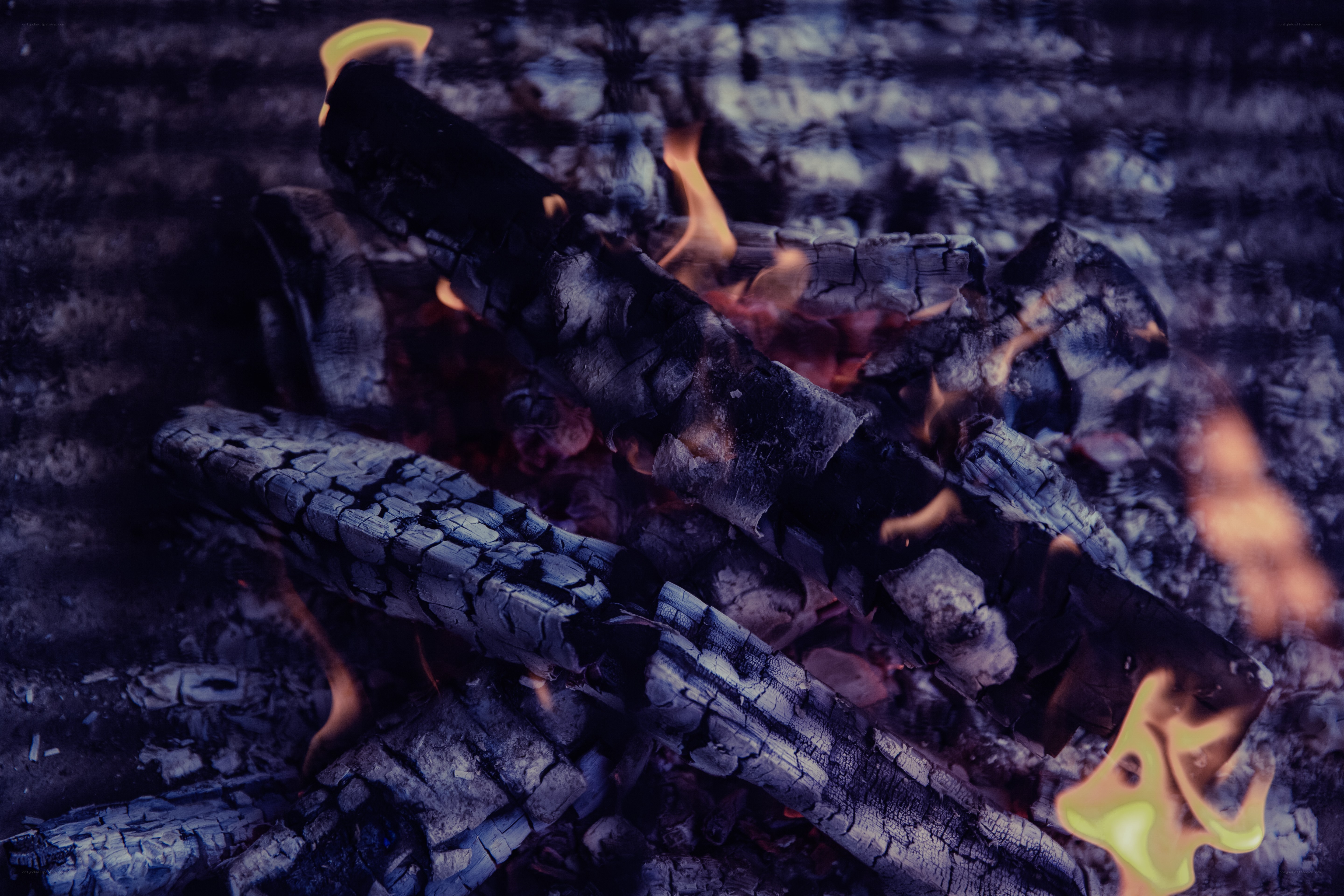 burning logs in a fire