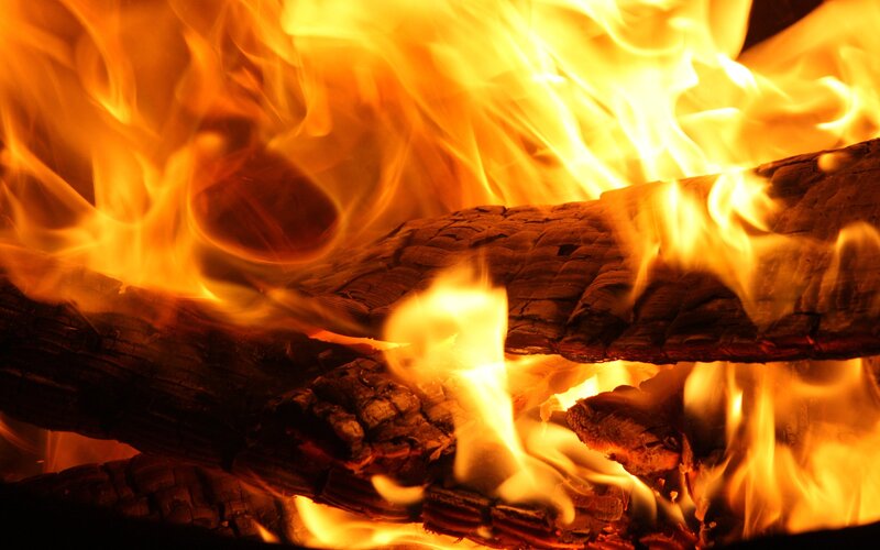 Burning Logs in Fire — Orange