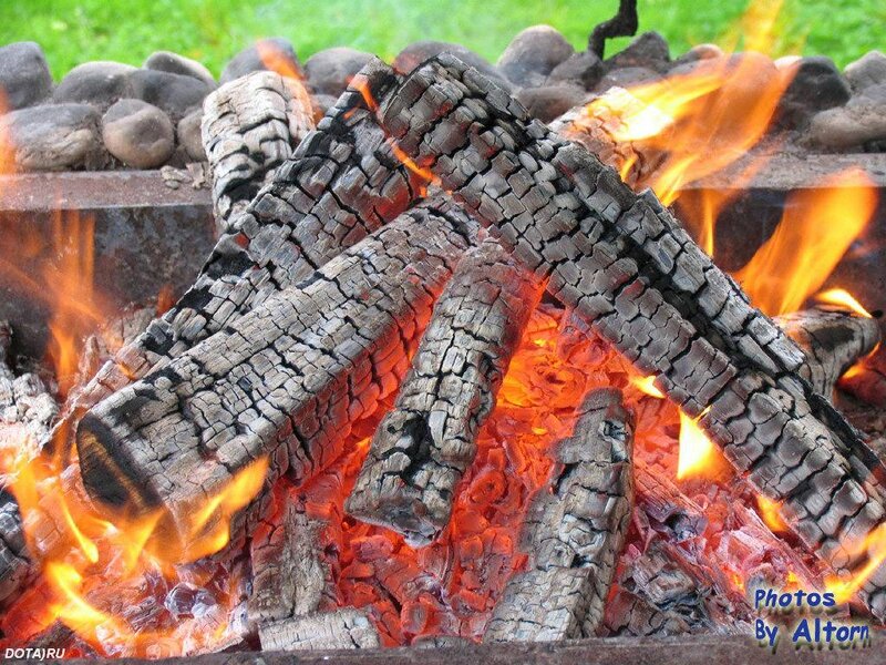 Burning Logs in Fire Pit