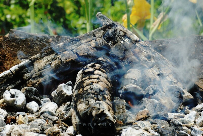 burning logs with smoke