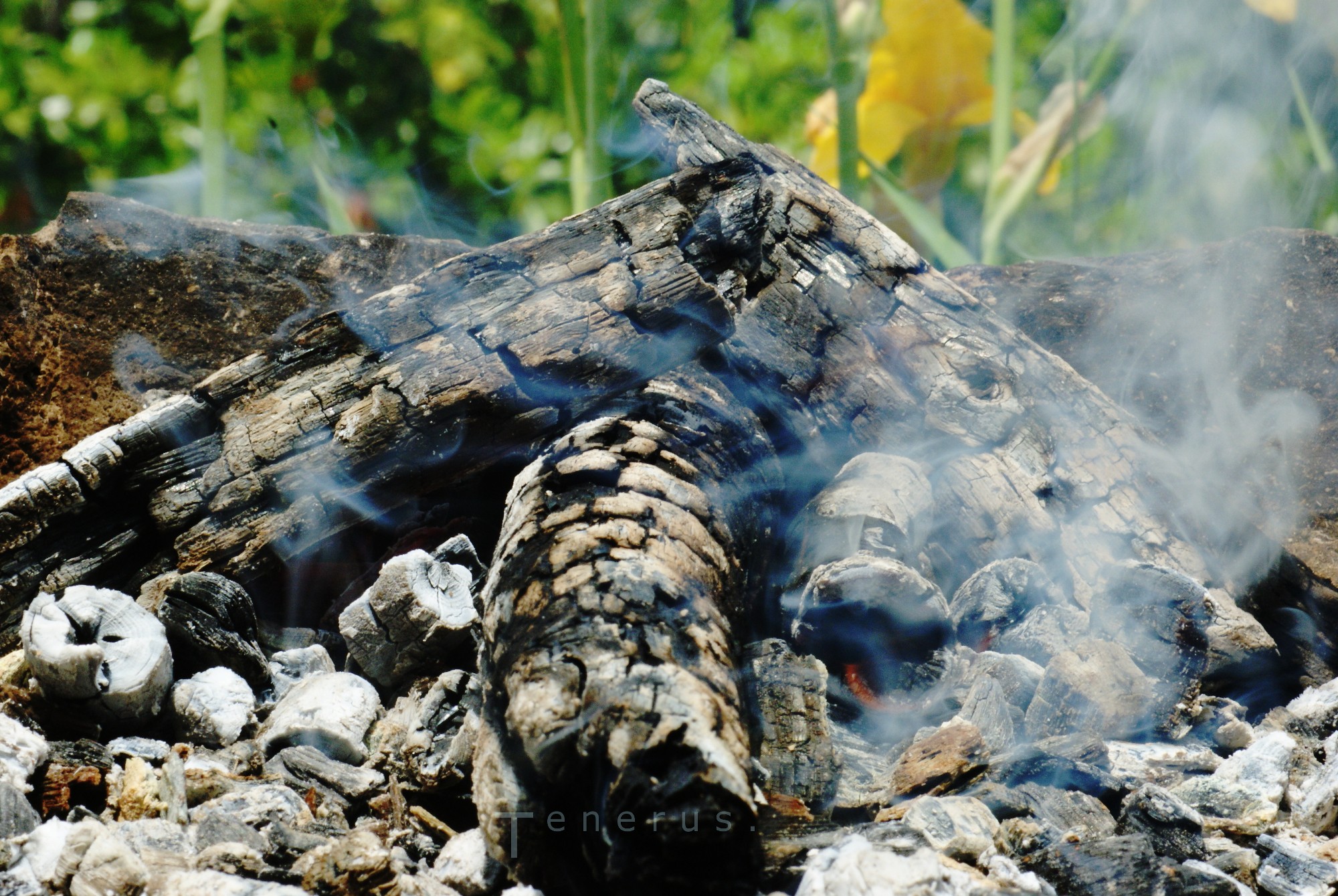 burning logs with smoke