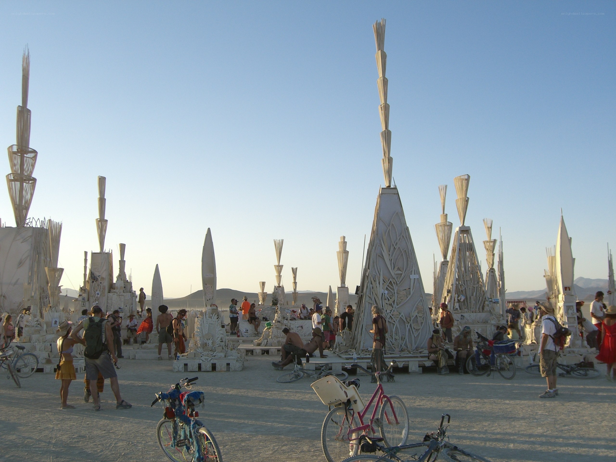 Burning Man art installations