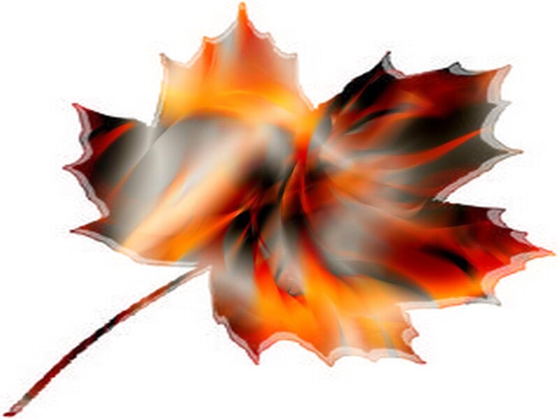 Burning Maple Leaf