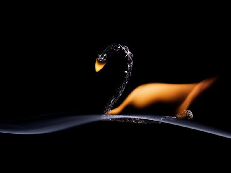 Burning Match Forming Swan