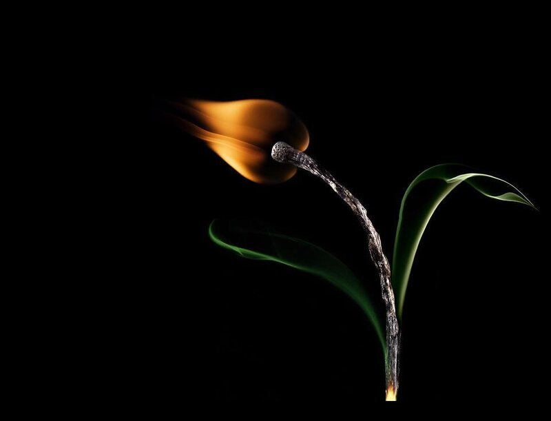 Burning Match with Leaves — Black
