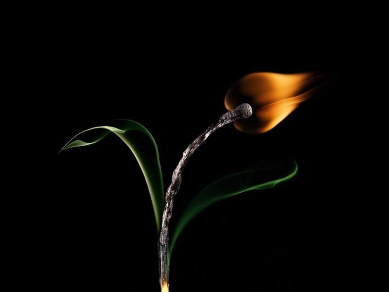 Burning Match with Leaves