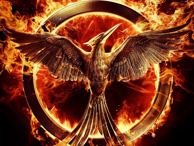 Burning Mockingjay Symbol — Orange, Dramatic, Digital Art