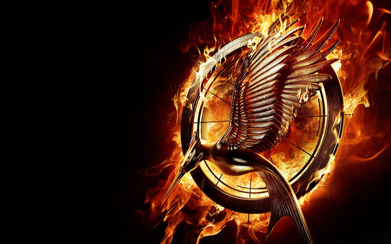 Burning Mockingjay Symbol