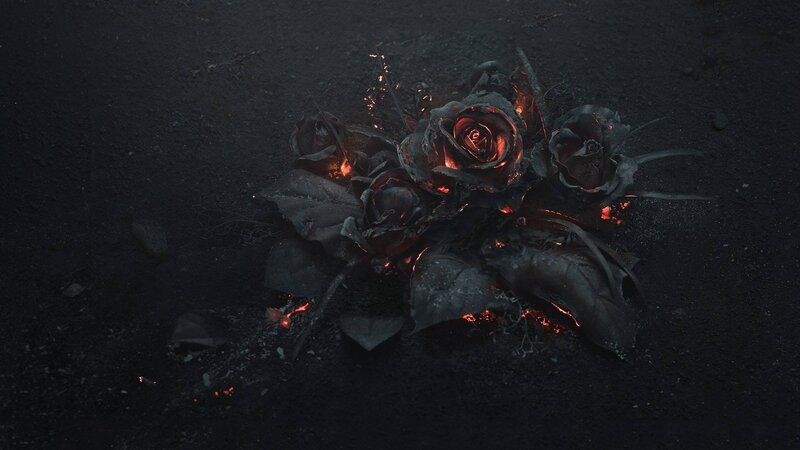 Burning Roses on Ground