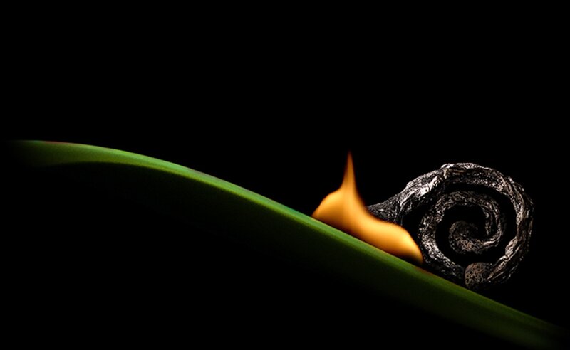 Burning Scroll on Leaf