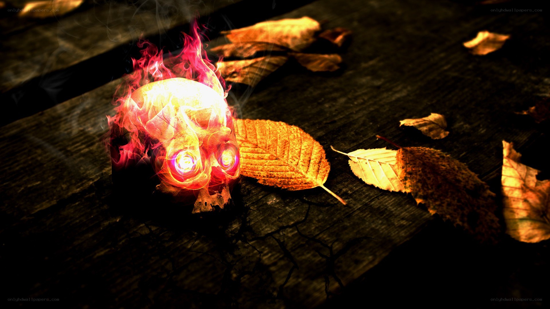 burning skull on wooden surface