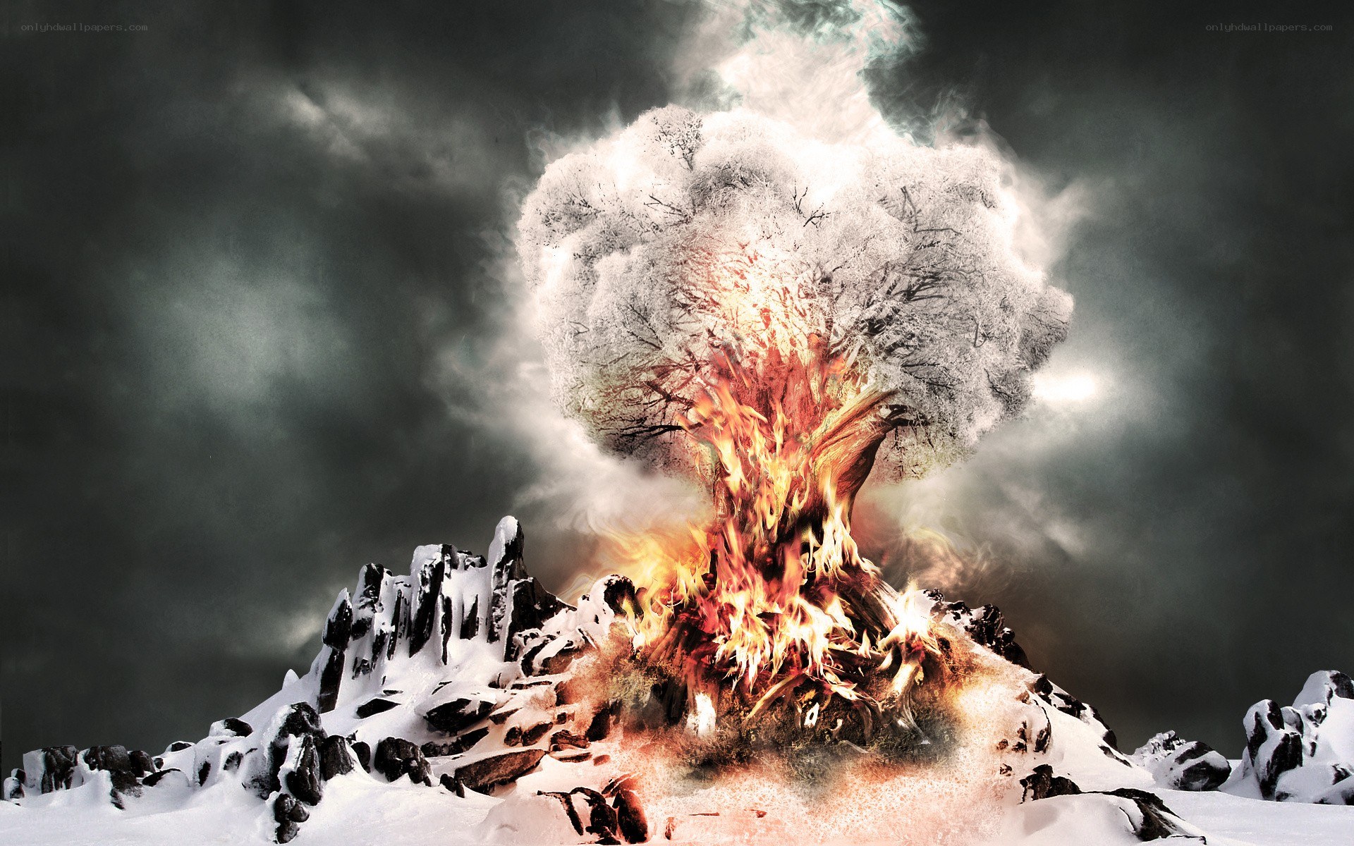 Burning tree in snowy landscape