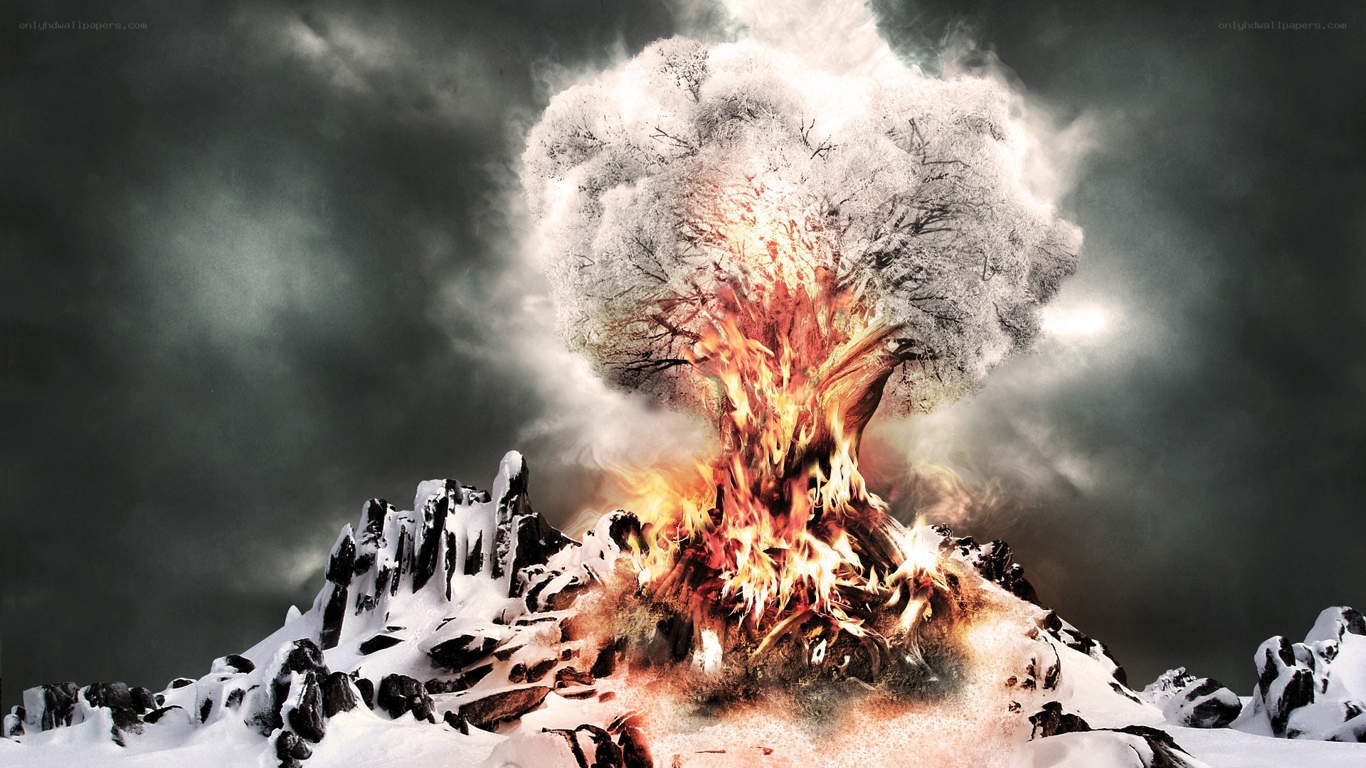Burning tree in snowy landscape